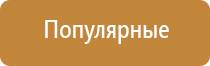 электронный ароматизатор воздуха для дома